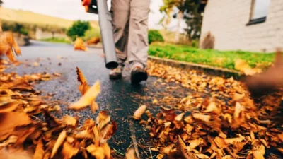 Seasonal Cleanup and Leaf Removal