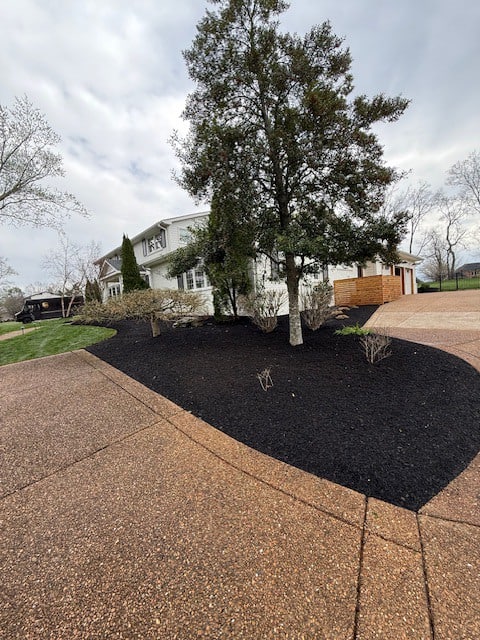 Before spring cleanup in Brentwood TN showing overgrown perennials, untrimmed shrubs, and no mulch installed