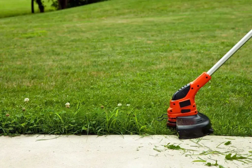Professional lawn edge trimming along sidewalk for clean, crisp borders in Middle Tennessee
