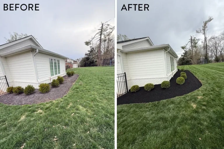 Read more about the article Spring Cleanup in Brentwood TN | Mulch, Pruning & Lawn Care Project