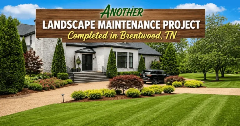 Read more about the article Another Landscape Maintenance Project Completed in Brentwood, TN