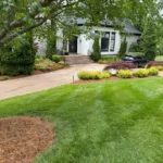 Before and after landscape maintenance project in Brentwood TN