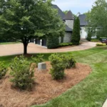 Before and after landscape maintenance project in Brentwood TN