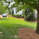Before and after landscape maintenance project in Brentwood TN